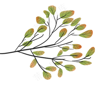 叶子发红的绿色叶子