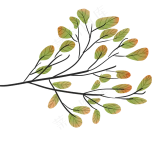 叶子发红的绿色叶子