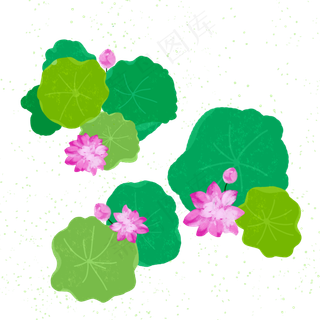 夏日荷花荷叶平铺手绘