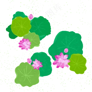 夏日荷花荷叶平铺手绘