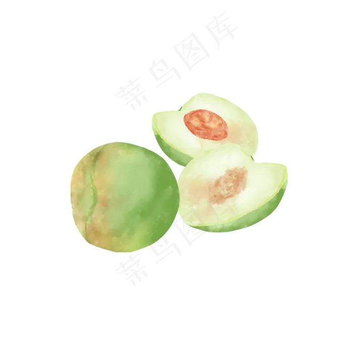 芒种水彩青梅水果(2050X2050(DPI:299))psd模版下载
