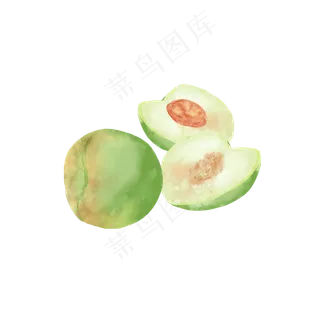 芒种水彩青梅水果