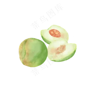 芒种水彩青梅水果