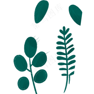 春季的绿色叶子植物