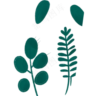 春季的绿色叶子植物