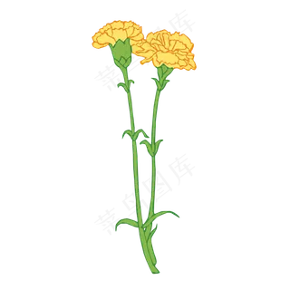 两朵黄色手绘母亲节康乃馨免抠素