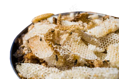 蜂蜜蜜蜂营养美味,免抠元素