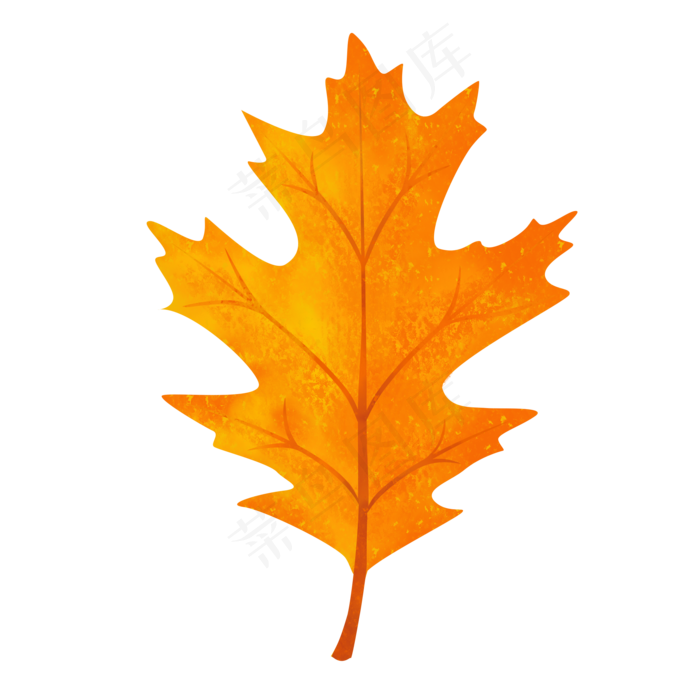 创意枫叶秋叶手绘植物