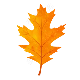创意枫叶秋叶手绘植物