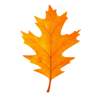 创意枫叶秋叶手绘植物
