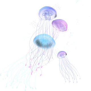 手绘多彩海洋生物水母元素
