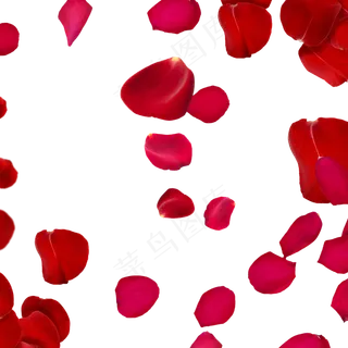 玫瑰花瓣漂浮,免抠元素
