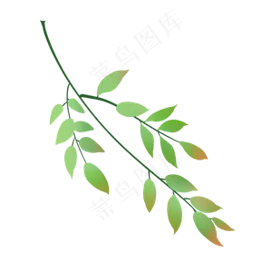 春天植物小清新嫩绿枝叶,免抠元素