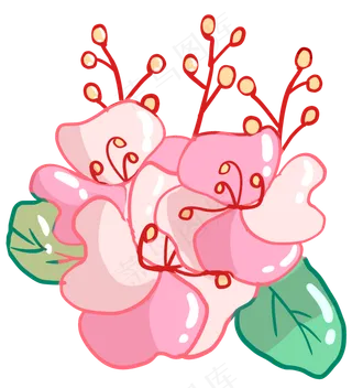 一簇美丽的樱花花朵