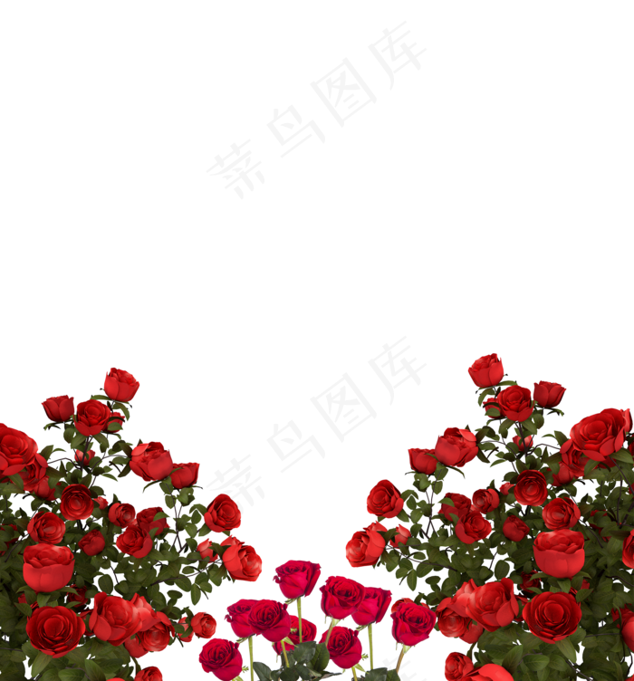 情人节玫瑰边框(2000X2000(DPI:300))psd模版下载