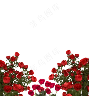 情人节玫瑰边框