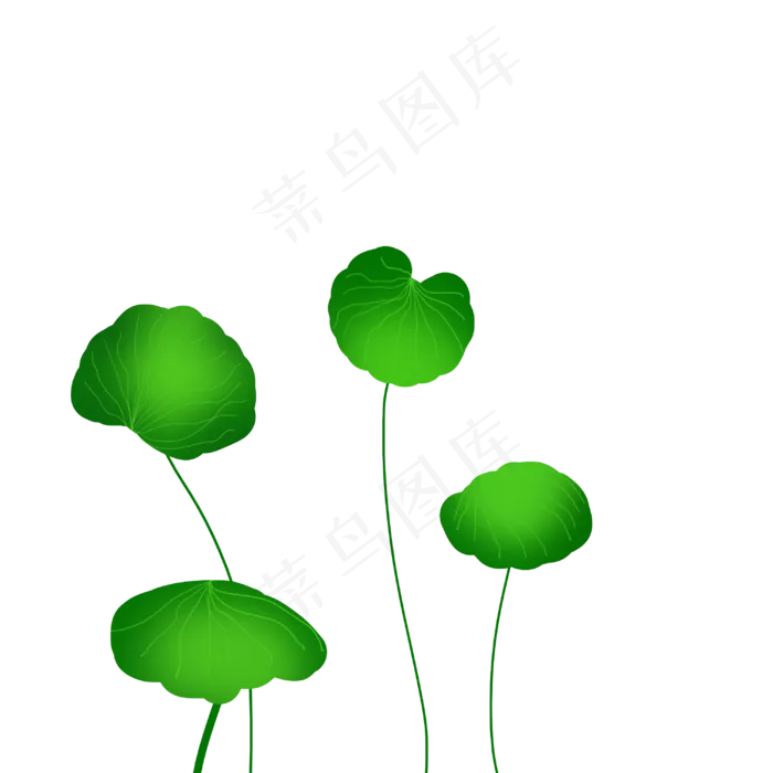 绿叶积雪草(3000X3000)