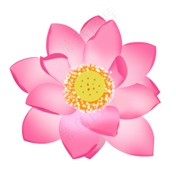 荷花手绘png图片