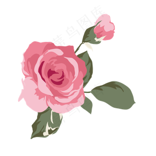 卡通盛开的粉色玫瑰花免抠图