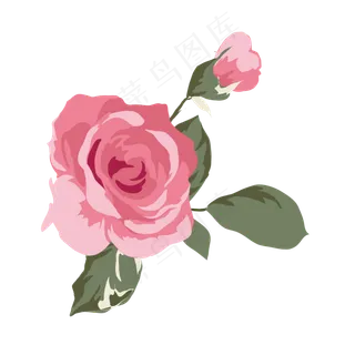 卡通盛开的粉色玫瑰花免抠图
