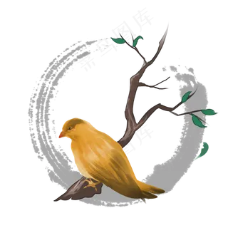 国画花鸟树枝,免抠元素