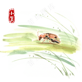 小暑绿叶与昆虫