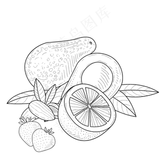 线描食物水果设计素材 线描食物水果设计素材
