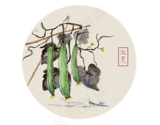 24节气立夏丝瓜水墨画草蜢