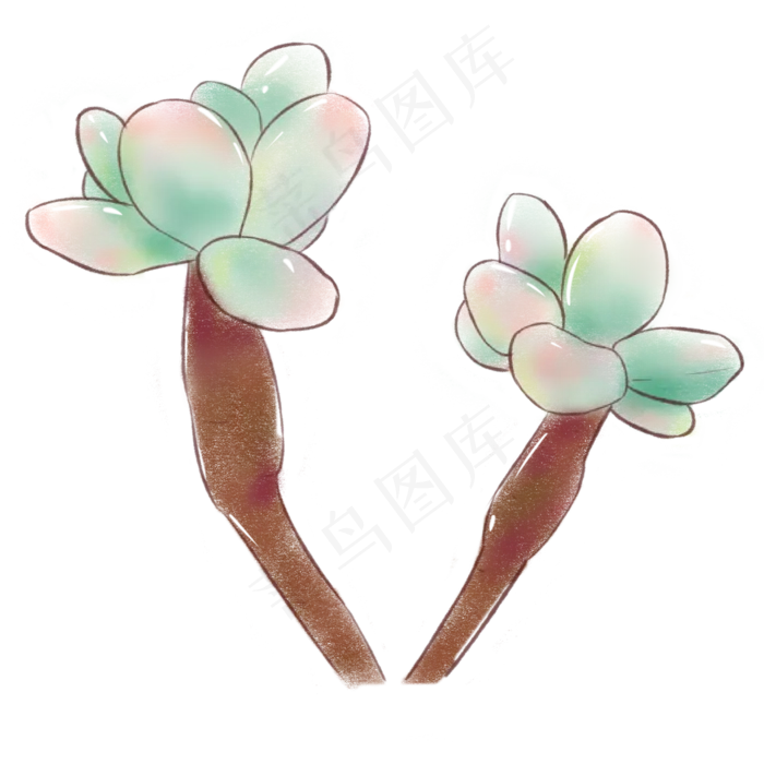 二朵新鲜的荷花免抠图(2000X2000(DPI:300))psd模版下载