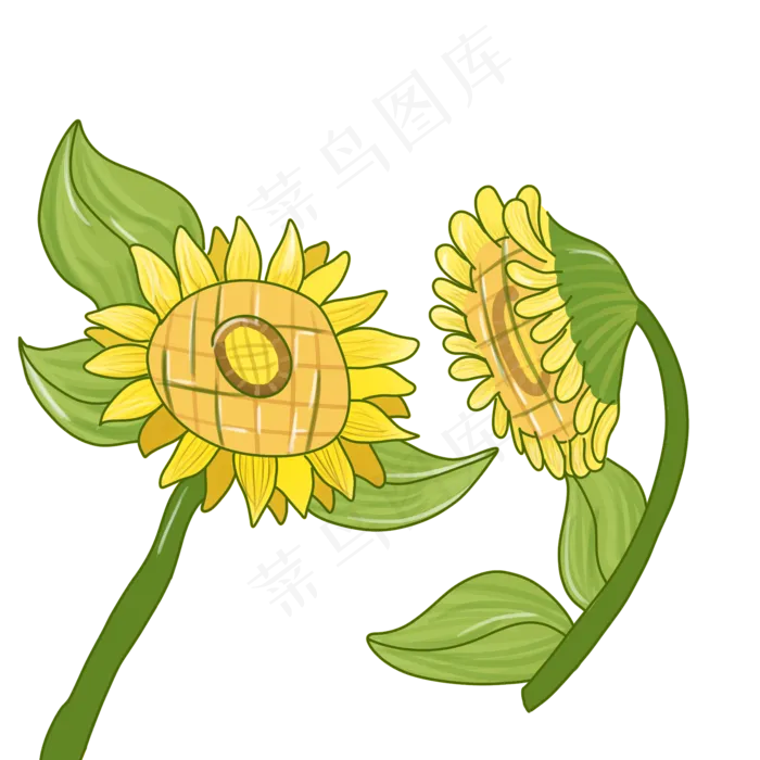 夏天小暑大暑向日葵(2000X2000(DPI:762))psd模版下载