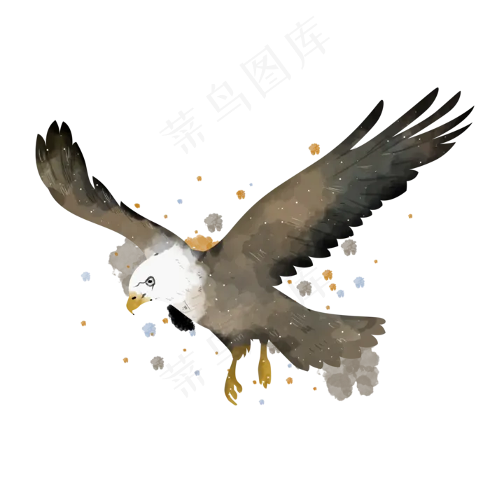 水彩动物老鹰素材(2000X2000(DPI:300))psd模版下载