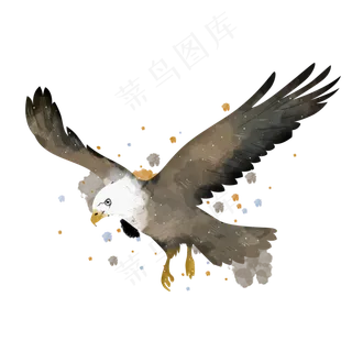 水彩动物老鹰素材