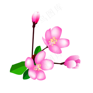 迎新年桃花中国风手绘,免抠元素