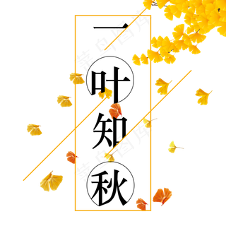 立秋 一叶知秋 艺术字