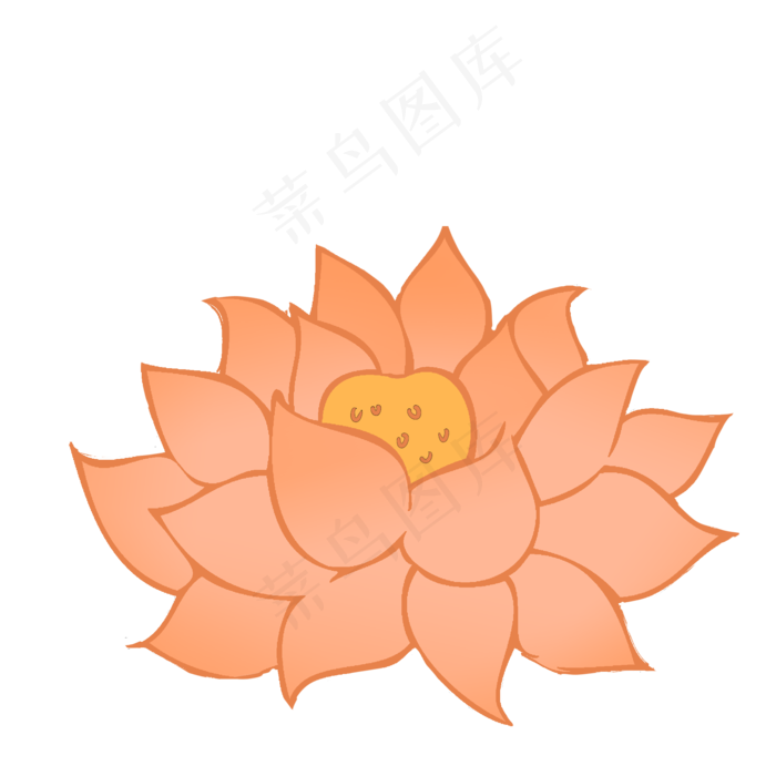 一朵盛开的荷花插画