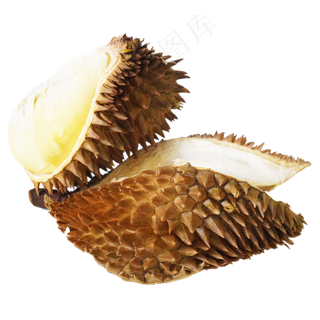 裂开水果榴莲