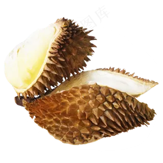裂开水果榴莲