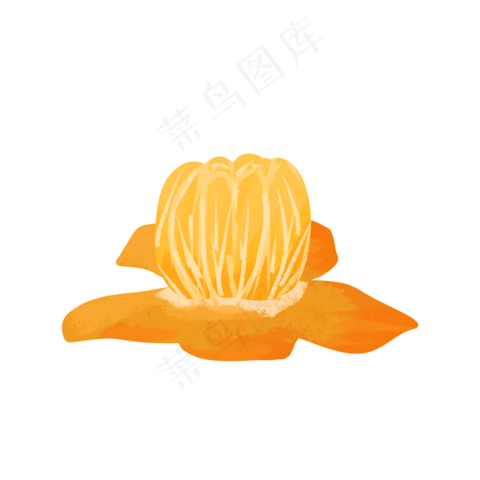 桔子水果植物生长绿色食品维生素(2000X2000(DPI:300))psd模版下载