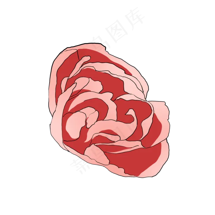 鲜艳漂亮的康乃馨手绘写实(2000X2000(DPI:300))psd模版下载