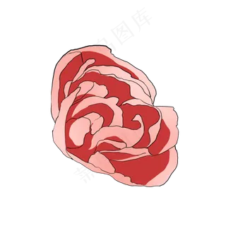 鲜艳漂亮的康乃馨手绘写实