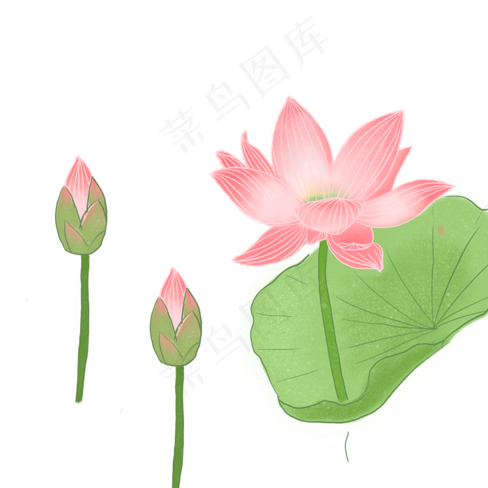 创意手绘红色的荷花效果(2000X2000(DPI:300))psd模版下载