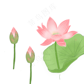 创意手绘红色的荷花效果