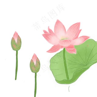 创意手绘红色的荷花效果