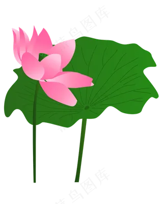 矢量卡通粉色莲花