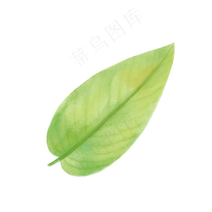 手绘自然树叶绿色植物叶子,免抠元素(2480X2480(DPI:300))psd模版下载