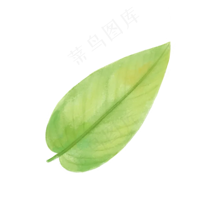 手绘自然树叶绿色植物叶子,免抠元素(2480X2480(DPI:300))psd模版下载