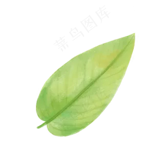 手绘自然树叶绿色植物叶子,免抠元素 手绘自然树叶绿色植物叶子,免抠元素