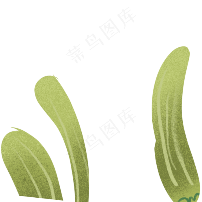 绿叶春季自然植物
