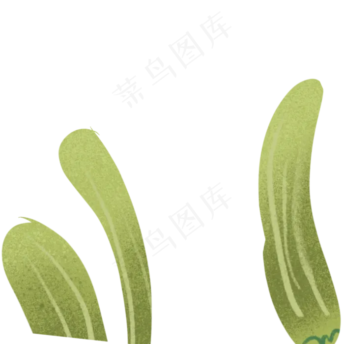 绿叶春季自然植物