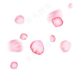 漂浮的花瓣红色海棠花瓣飘落的花